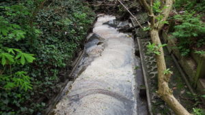 Sewage pollution in the Wealdstone Brook in Woodcock Park, Brent